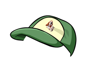 a hat
